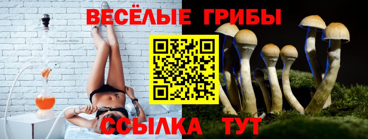 Псилоцибиновые грибы Psilocybe  Вход с VPN  Псилоцибиновые грибы мухоморы  Киселёвск 