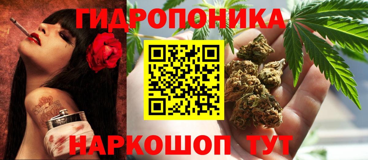 МАРИХУАНА планчик Киселёвск